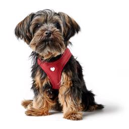 Hunter Step In Leather Dog Sele Design Love Red